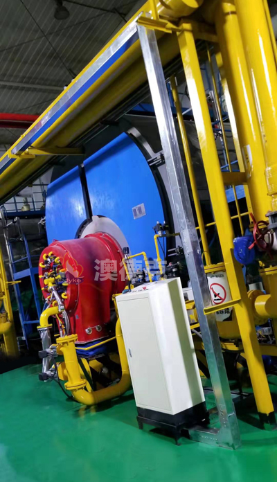 10吨  超低氮燃烧器(图2)